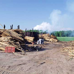 Wypalanie węgla drzewnego